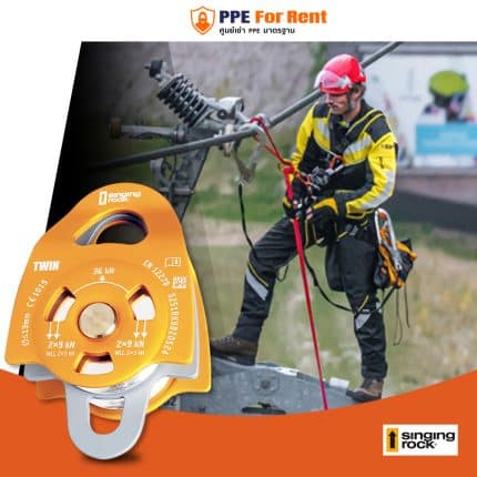 42. PULLEY TWIN