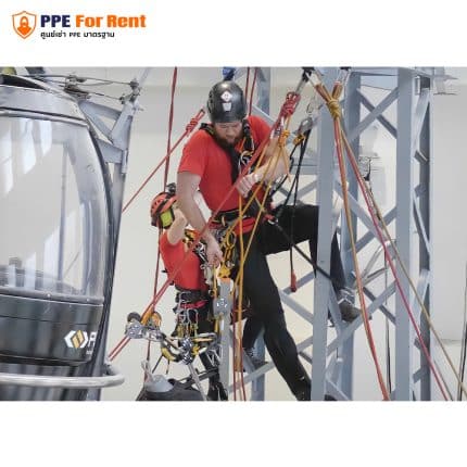 42.1 PULLEY TWIN