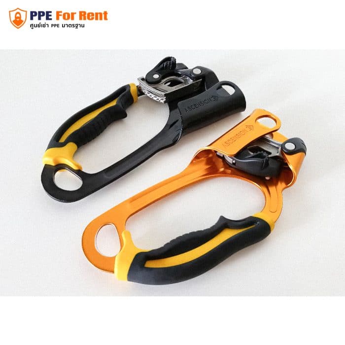 เช่า Petzl ASCENSION อุปกรณ์จับเชือกสำหรับไต่เชือกแนวดิ่ง - Image 11