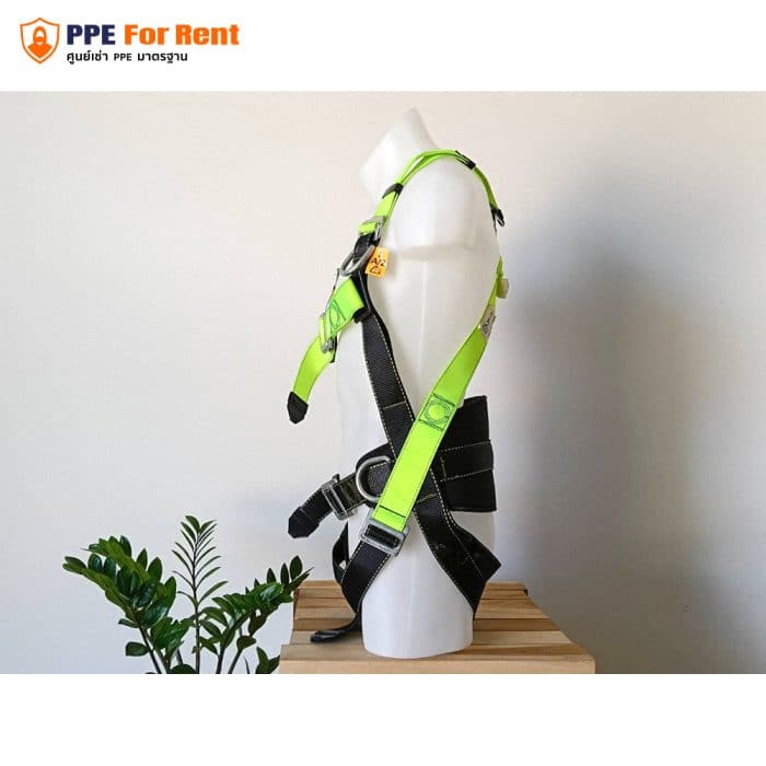 เช่า Body Harness เข็มขัดนิรภัยเต็มตัว - Image 5