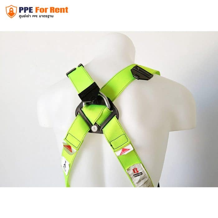 เช่า Body Harness เข็มขัดนิรภัยเต็มตัว - Image 6