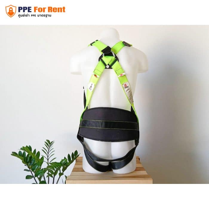 เช่า Body Harness เข็มขัดนิรภัยเต็มตัว - Image 4