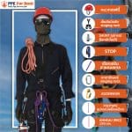 1. โรยตัว เซต 1 ไม่มีเบาะรองนั่ง