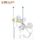 เช่า ASAP® LOCK + ASAP’SORBER  อุปกรณ์กันตกบนเชือก มาตรฐานงานที่สูง - Image 6